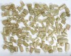 Wholesale Flot: g Apatite Crystals From Morocco - + Pieces #82341-1